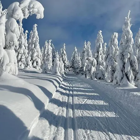 Na Vyhlidce Holiday home *