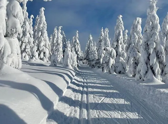 Na Vyhlidce Vakantiehuis *