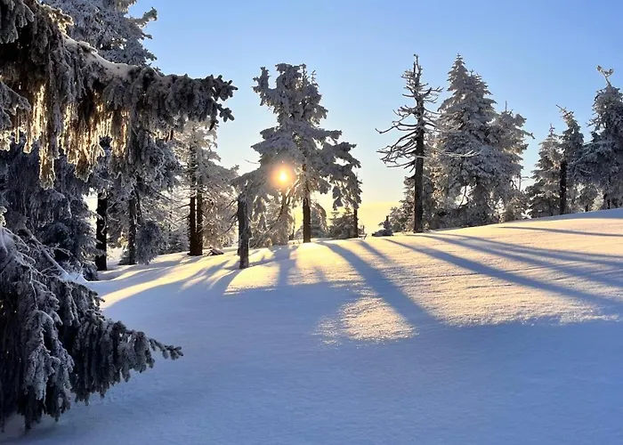 Na Vyhlidce * Jesenik