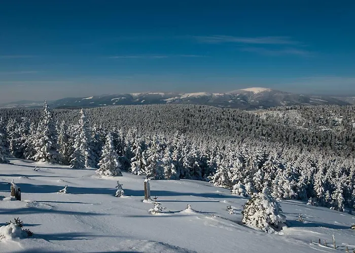 Vakantiehuis Na Vyhlidce